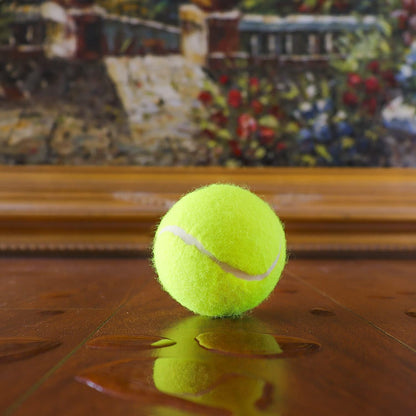 High Altitude Tennis Balls Championship – 6 Pack 18 Balls Yellow - USTA & ITF Approved - Official Ball of The United States Tennis Association Leagues - Natural Rubber for consistent Play