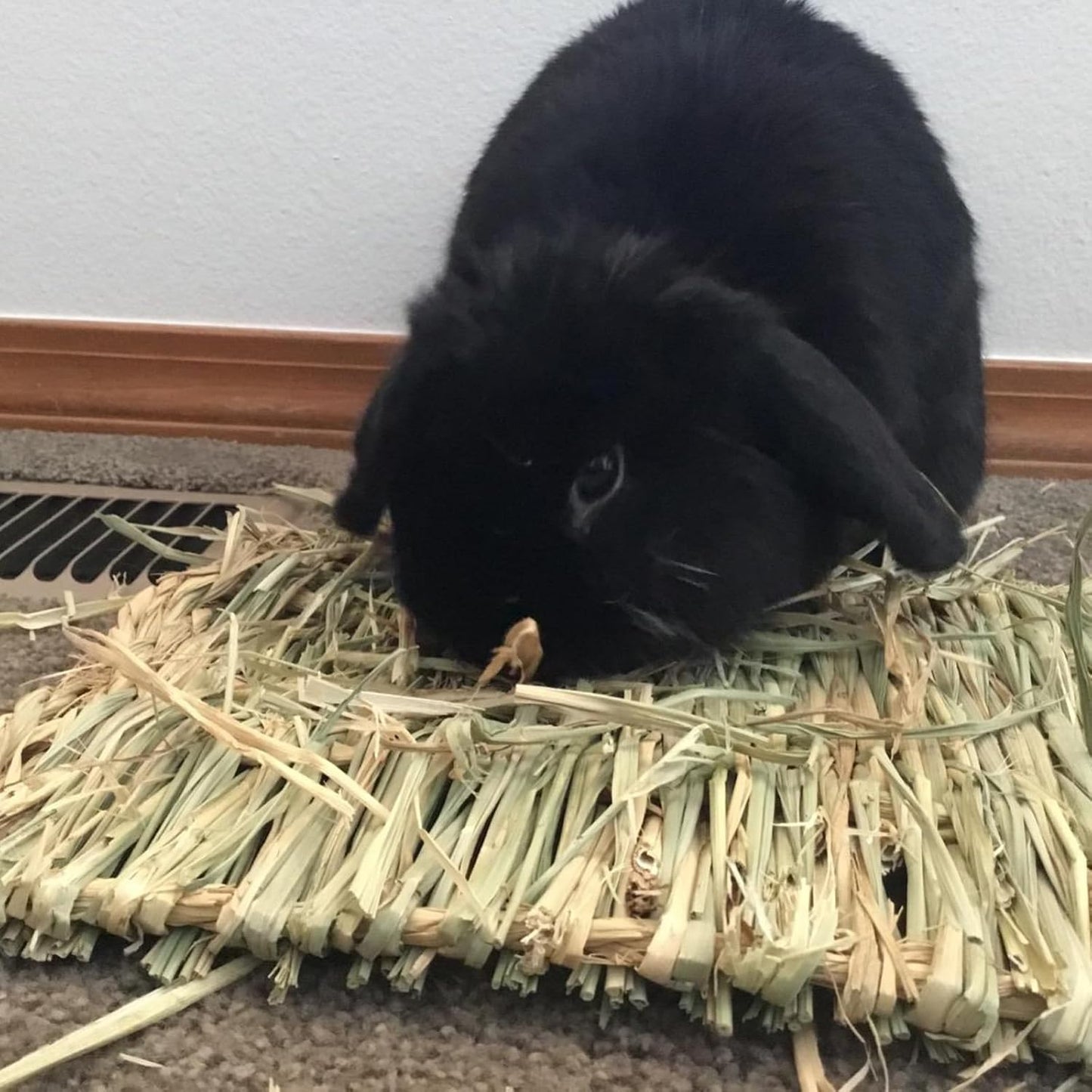 6 Pack Rabbit Grass Mat,Bunny Natural Straw Woven Bed,Small Animal Cages Hay Nest Sleeping,Chewing,Nesting and Toys for Rabbits Guinea Pig Hamster Hedgehog and Squirrel Bed Mat