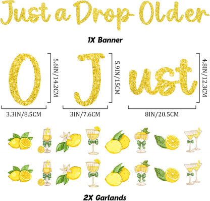 Just a Drop Older Decorations Banner - Gold Glitter Lemon Decoration Sign with Banner Garland, Lemon Martini Party Supplies for Bachelorette Birthday Bridal Shower Wedding
