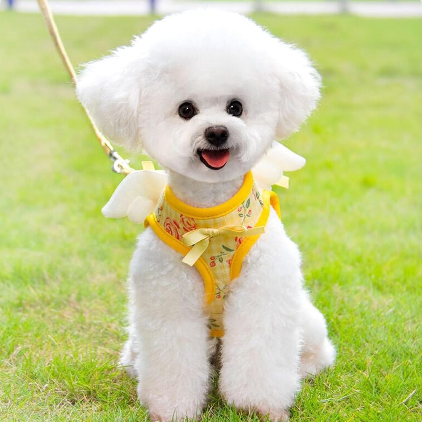 Dog Harness and Leash Set with Angel Wings,Pet Adjustable Mesh Vest Harness with Wings and Bow for Small Medium Dogs Cats_M(Yellow Flower)