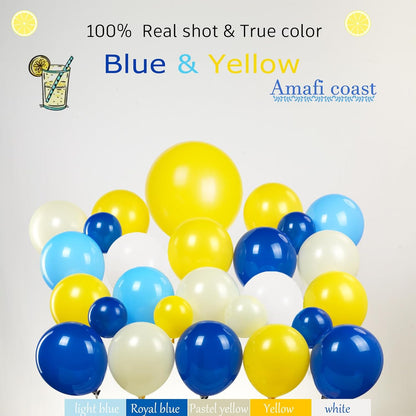 Royal Blue Yellow bridal shower lemon theme balloon arch kit with Bride to be backdrop for Lemonade italian capri amalfi coast main squeeze bridal party decorations