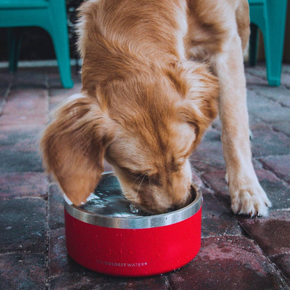 Dog Bowl - Anti Rust Metal, Non Slip, 3 Layers Insulated Stainless Steel Dog Bowls - Spill Proof & Heavy Duty - Water Bowl for Dogs, Cats & Pets, Dish Washer Safe (21 oz, Solar Yellow)