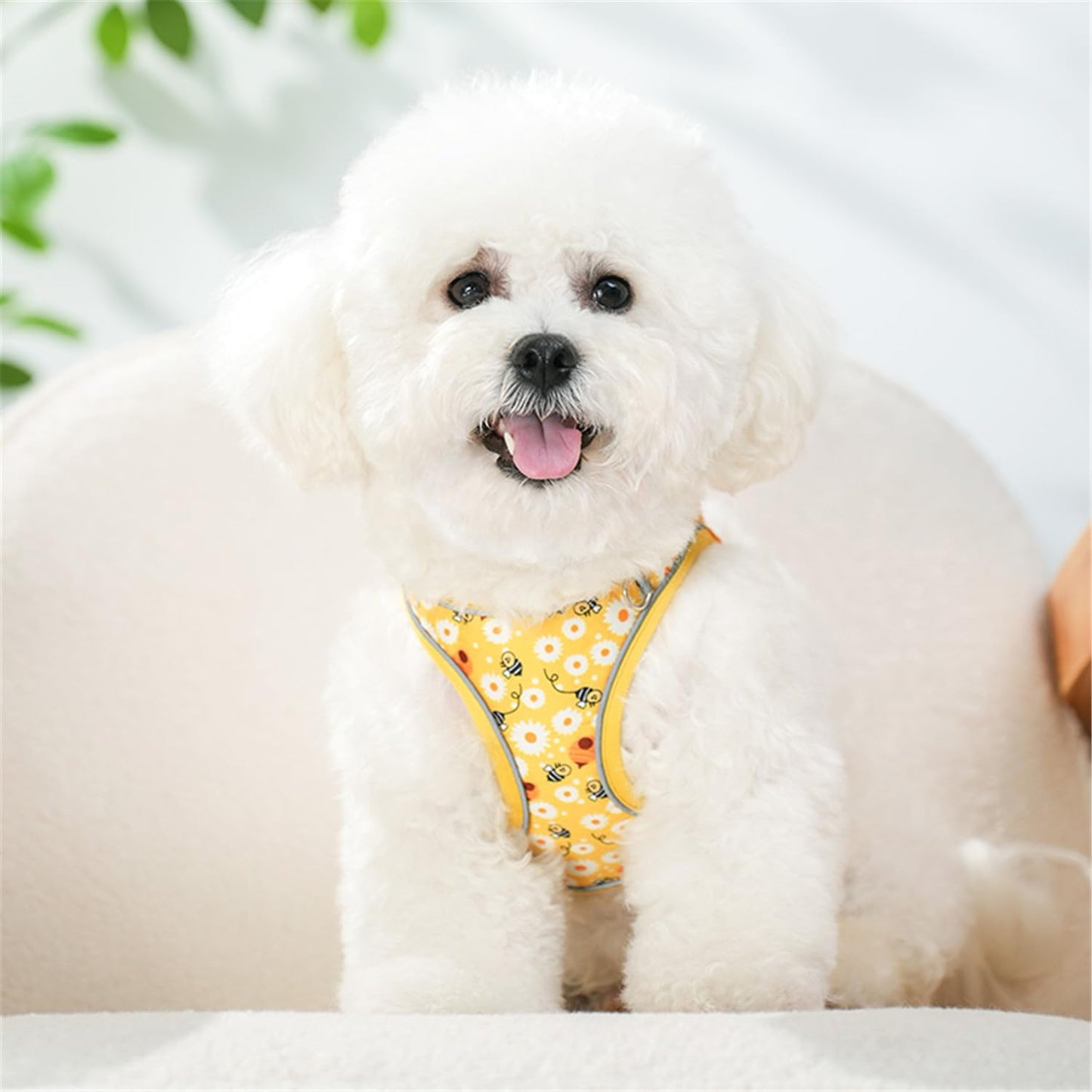 Step in Dog Harness No Pull Honeybee Adjustable Soft Mesh Harness | Padded Reflective Pet Vest Harness and Leash Set for Small Medium Dogs