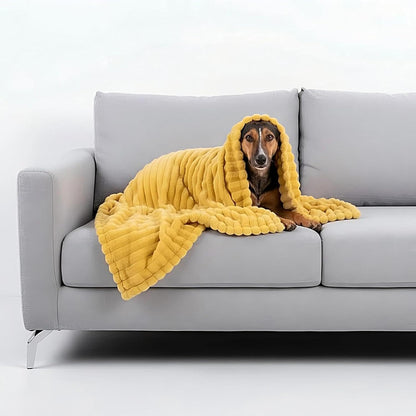 Dog Blanket – Yellow Comfort Throw, Soft Pet Bedding Cover | Machine Washable Fabric Mat for Sofa Bed Cage, Warm Indoor Resting Accessory Use