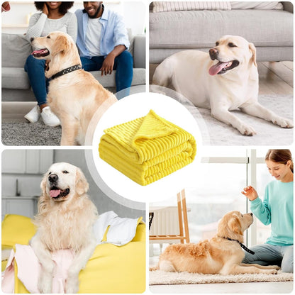 Dog Blanket – Yellow Comfort Throw, Soft Pet Bedding Cover | Machine Washable Fabric Mat for Sofa Bed Cage, Warm Indoor Resting Accessory Use