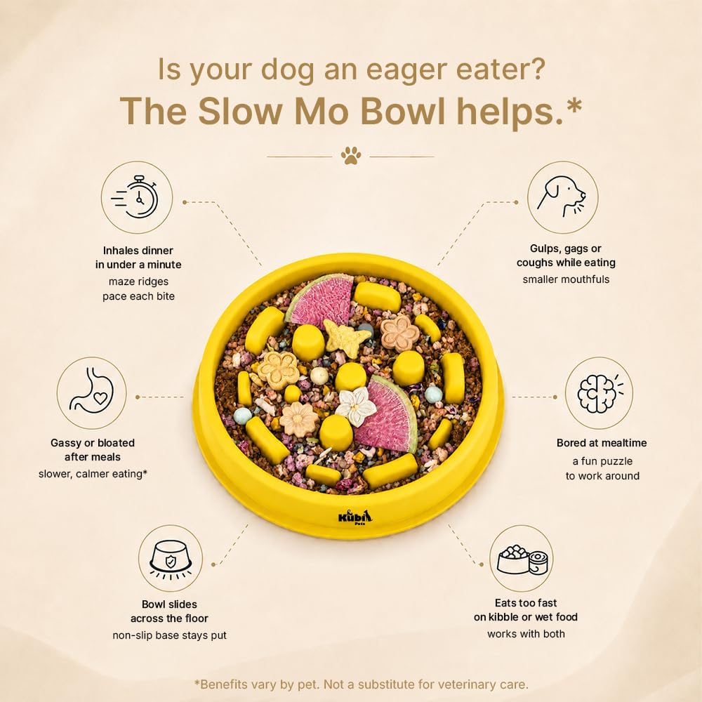 Slow Mo Bowl | Slow Feeder Dog Bowl for Fast Eaters, Improves Digestion & Reduces Bloating, Fun Interactive Design, & Dishwasher Safe | | (Yellow)