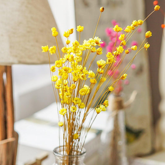 100 Stems Natural Dry Flowers Brazilian Small Star Daisy Decorative Dried Flowers Mini Daisy Chamomile Bouquet for Wedding Floral Arrangements Home Decorations (Autumn Color)