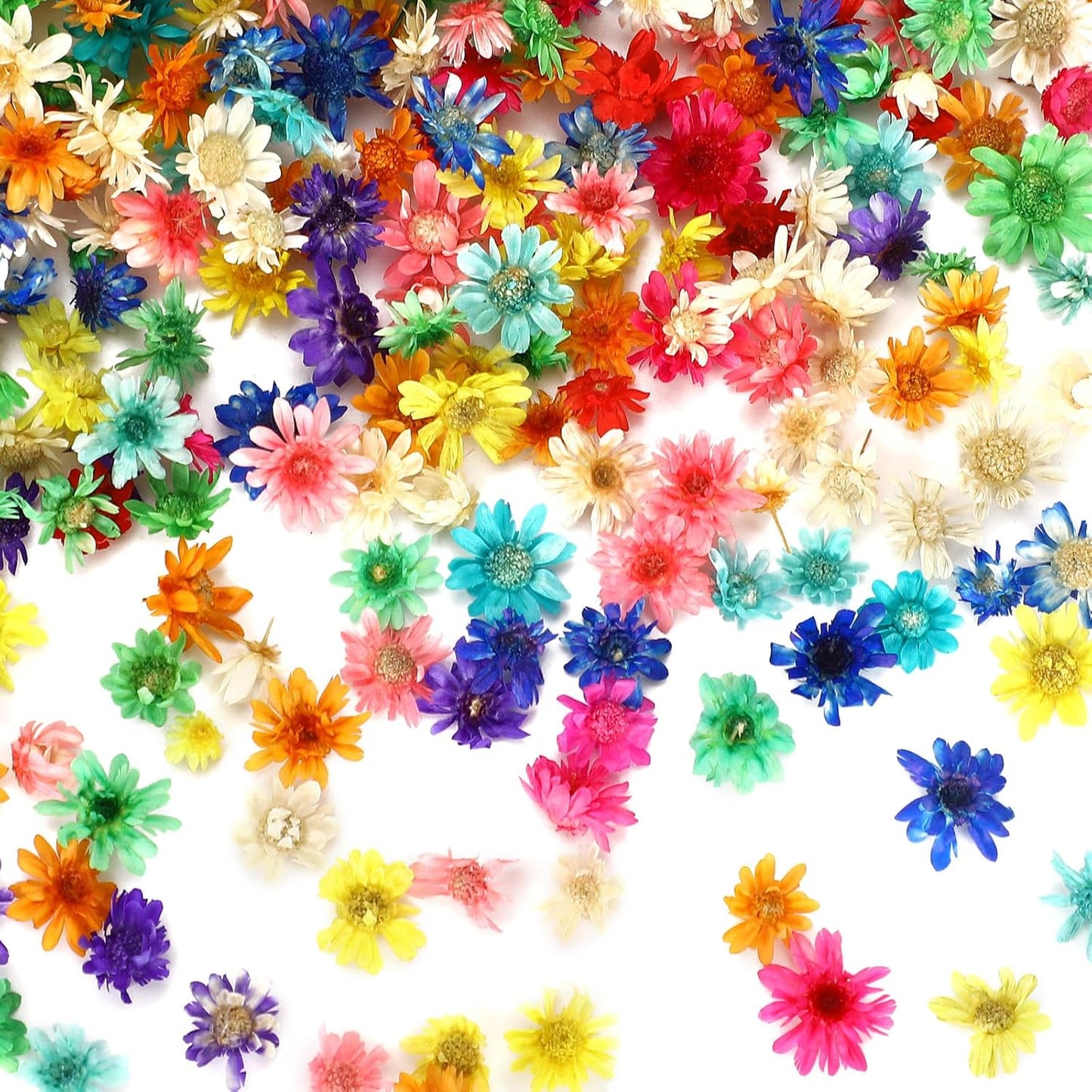 420 Pcs Small Dried Flowers for Crafts Mini Dried Flowers | Dried Flowers for Resin Nail, Real Natural Pressed Flowers, DIY Jewelry Earrings Epoxy Molds Candles Soap Making Scrapbooking