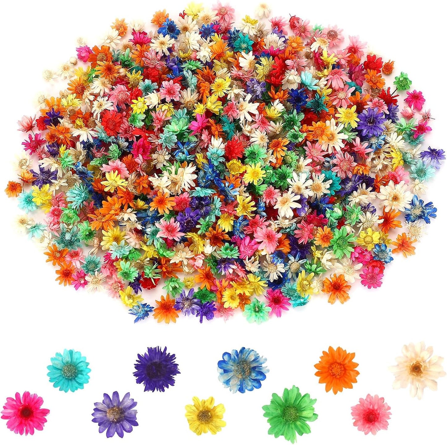 420 Pcs Small Dried Flowers for Crafts Mini Dried Flowers | Dried Flowers for Resin Nail, Real Natural Pressed Flowers, DIY Jewelry Earrings Epoxy Molds Candles Soap Making Scrapbooking