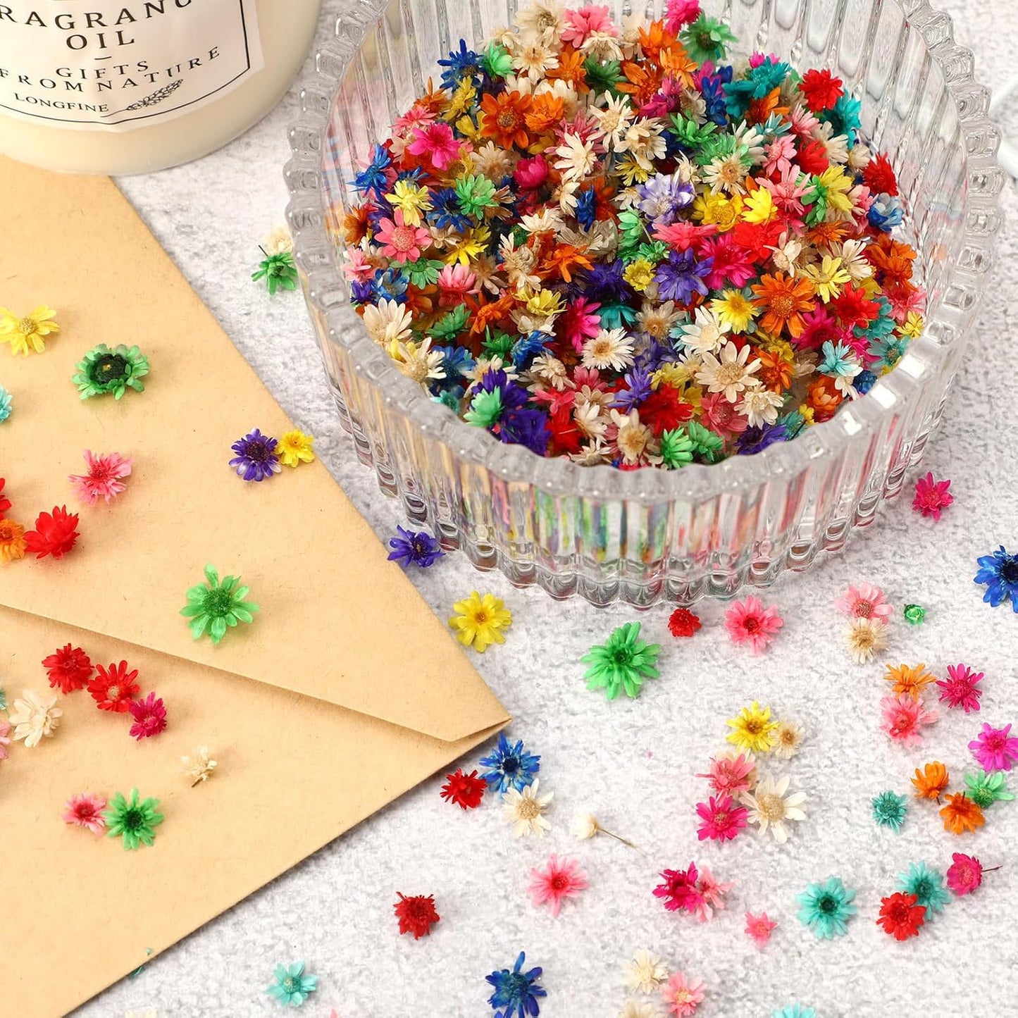 420 Pcs Small Dried Flowers for Crafts Mini Dried Flowers | Dried Flowers for Resin Nail, Real Natural Pressed Flowers, DIY Jewelry Earrings Epoxy Molds Candles Soap Making Scrapbooking