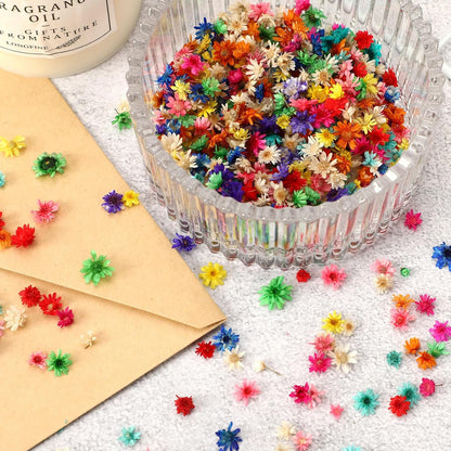 420 Pcs Small Dried Flowers for Crafts Mini Dried Flowers | Dried Flowers for Resin Nail, Real Natural Pressed Flowers, DIY Jewelry Earrings Epoxy Molds Candles Soap Making Scrapbooking