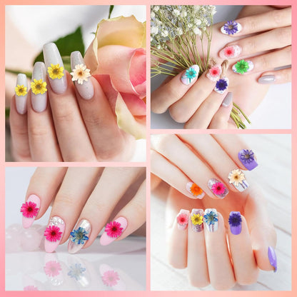 420 Pcs Small Dried Flowers for Crafts Mini Dried Flowers | Dried Flowers for Resin Nail, Real Natural Pressed Flowers, DIY Jewelry Earrings Epoxy Molds Candles Soap Making Scrapbooking