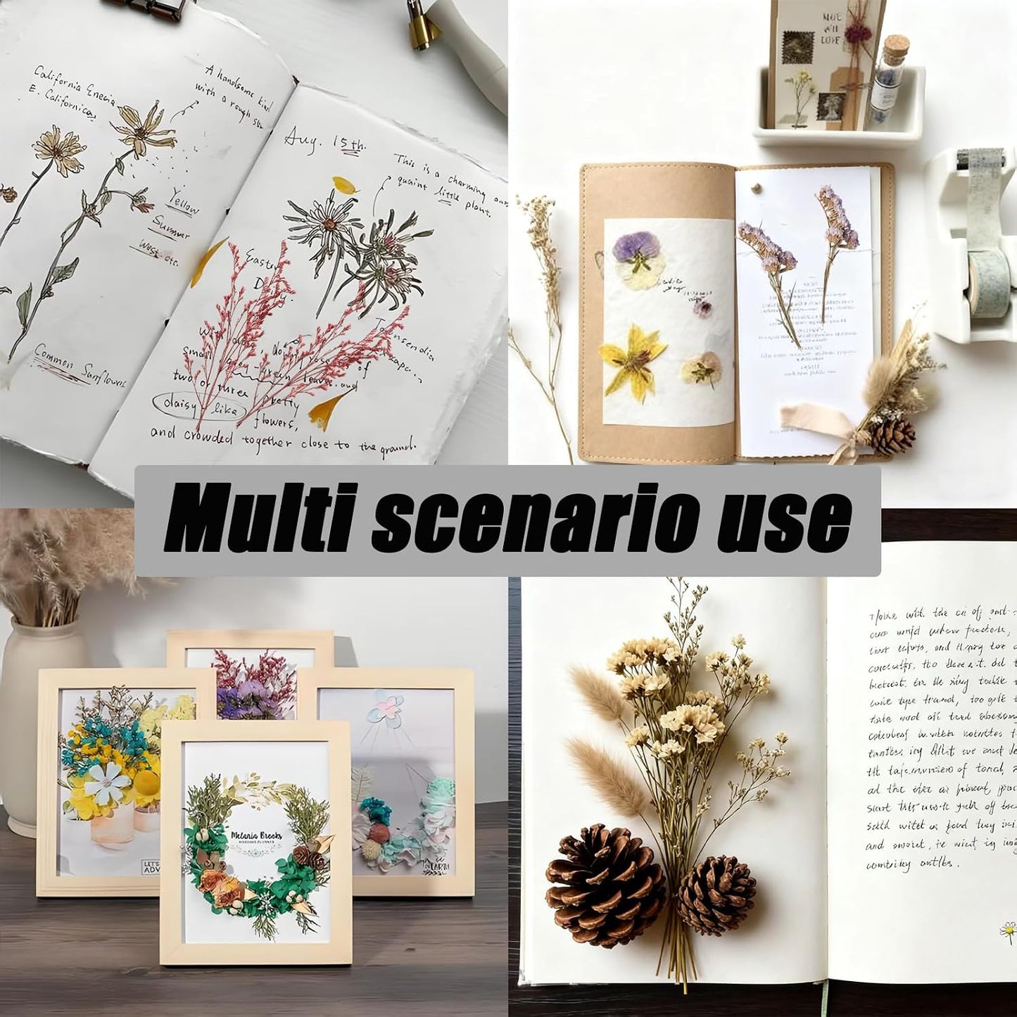 1 Pack Real Dried Flowers, Natural Dry Flowers Mixed, Pressed Flower for Crafts, Small Dried Flower for Resin, Candle Making(Color 1)