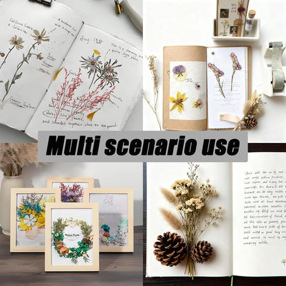 1 Pack Real Dried Flowers, Natural Dry Flowers Mixed, Pressed Flower for Crafts, Small Dried Flower for Resin, Candle Making(Color 1)