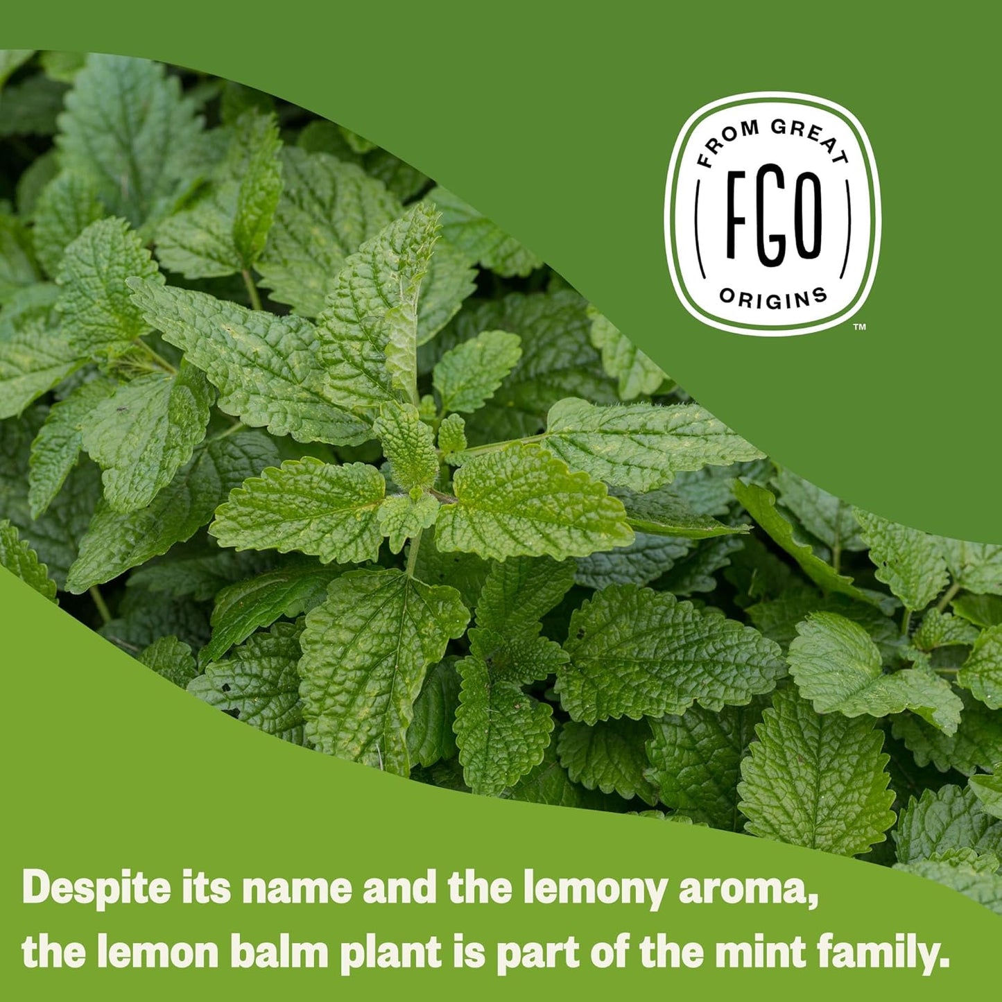 Organic Lemon Balm Tea, 100 Count, Eco-Conscious Herbal Tea Bags, Resealable Bag, Caffeine Free, Packaging May Vary (Pack of 1)