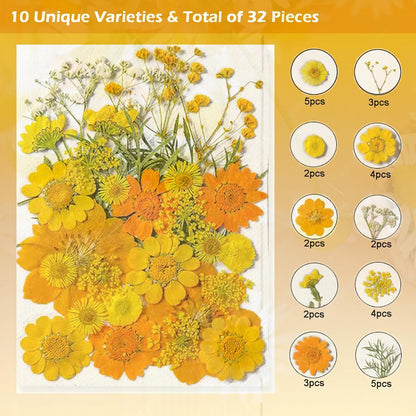 Dried Pressed Flowers for Resin, Real Pressed Flowers Dry Leaves Bulk Natural Herbs Kit for Scrapbooking DIY Art Crafts, Nails Décor, Epoxy Resin Jewelry, Candle, Soap Making (Bright Yellow)