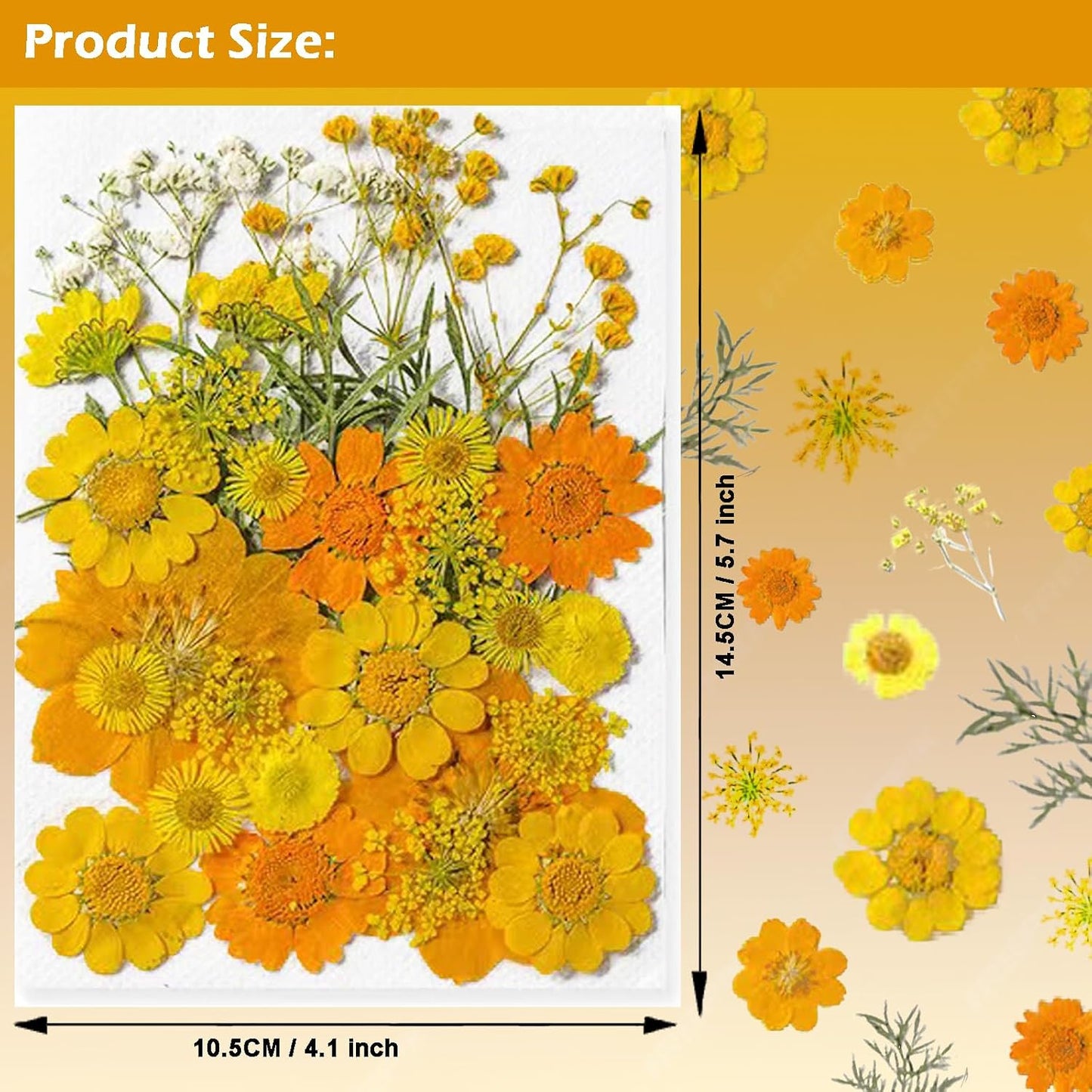 Dried Pressed Flowers for Resin, Real Pressed Flowers Dry Leaves Bulk Natural Herbs Kit for Scrapbooking DIY Art Crafts, Nails Décor, Epoxy Resin Jewelry, Candle, Soap Making (Bright Yellow)