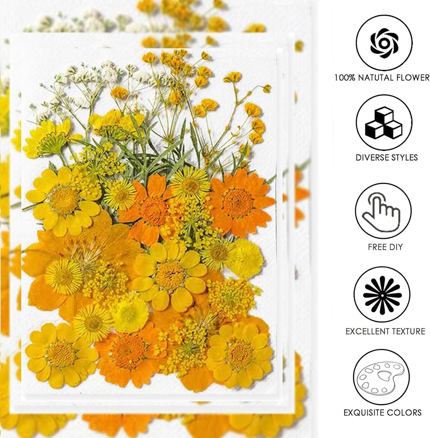 Dried Pressed Flowers for Resin, Real Pressed Flowers Dry Leaves Bulk Natural Herbs Kit for Scrapbooking DIY Art Crafts, Nails Décor, Epoxy Resin Jewelry, Candle, Soap Making (Bright Yellow)