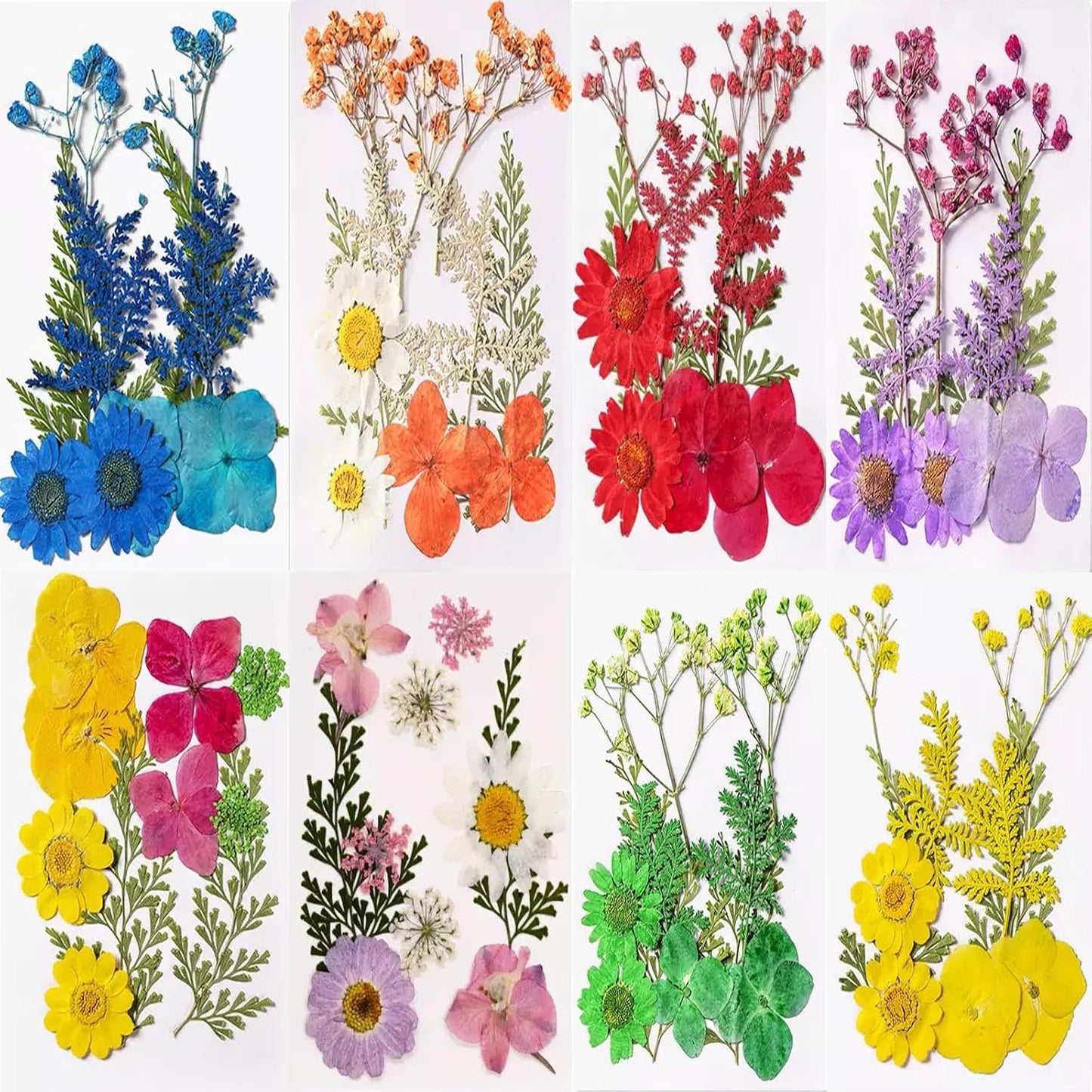 Dried Flowers, Resiners 80Pcs（Trending Colors） Pressed Flowers for Craft Real Natural Dried Flowers Dry Leaves Kit for DIY Making Crafts Resin Soap Candle Scrapbook Supplies Card Making Jewelry