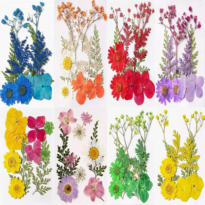 Dried Flowers, Resiners 80Pcs（Trending Colors） Pressed Flowers for Craft Real Natural Dried Flowers Dry Leaves Kit for DIY Making Crafts Resin Soap Candle Scrapbook Supplies Card Making Jewelry
