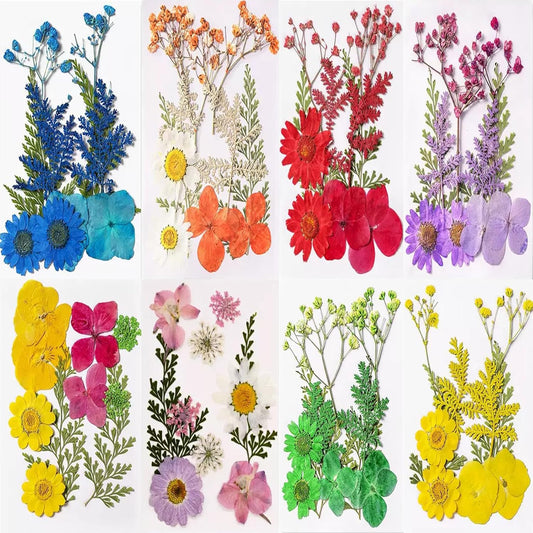 Dried Flowers, Resiners 80Pcs（Trending Colors） Pressed Flowers for Craft Real Natural Dried Flowers Dry Leaves Kit for DIY Making Crafts Resin Soap Candle Scrapbook Supplies Card Making Jewelry