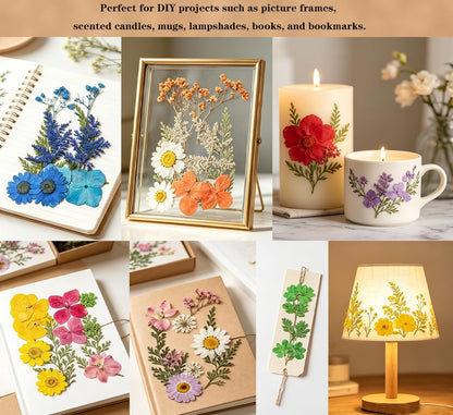 Dried Flowers, Resiners 80Pcs（Trending Colors） Pressed Flowers for Craft Real Natural Dried Flowers Dry Leaves Kit for DIY Making Crafts Resin Soap Candle Scrapbook Supplies Card Making Jewelry