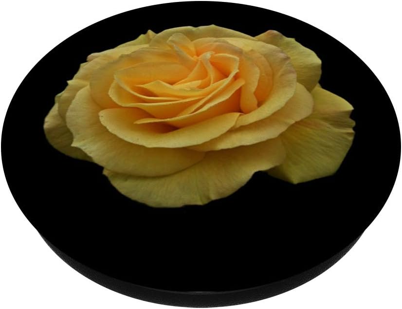 Yellow Rose Flower Cool Phone Holder Floral Gift for Women PopSockets PopGrip: Swappable Grip for Phones & Tablets