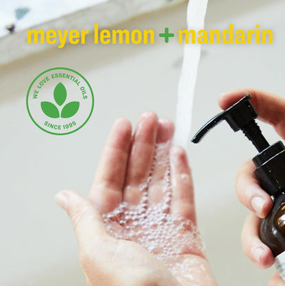 Liquid Hand Soap, Meyer Lemon & Mandarin, 12.75 oz (3-Pack)