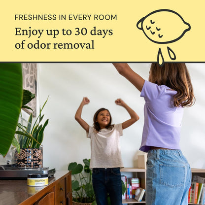 Lemon Odor Eliminator Gel 3-Pk 7 oz - Air Freshener for Home | Plant-based essential oils. Lasts 15-30 days per jar. No plug-in needed. Pet-safe, closet and bathroom deoderizer.