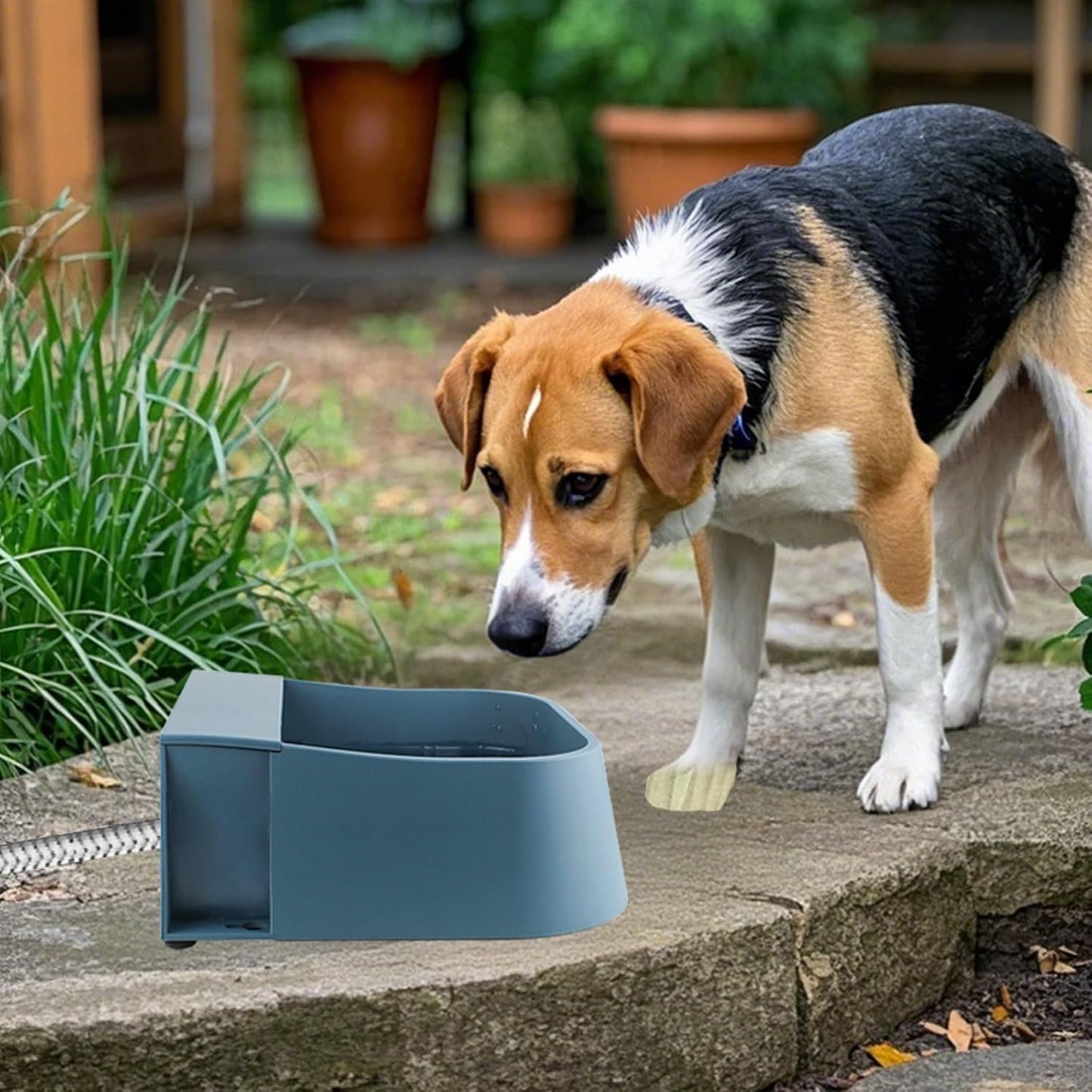 Automatic Dog Water Dispenser with 59" Metal Water Pipe, Auto Fill Dog Water Bowl for 3/4" or 1/2" Male End Faucet, Large Automatic Waterer for Dogs Cats Chicken Pigs Livestock
