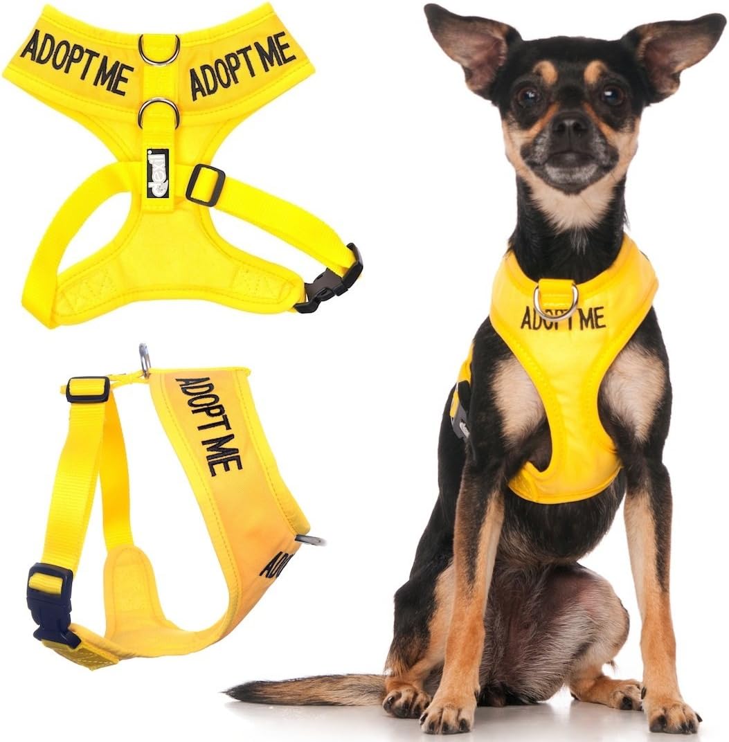 Limited Adopt ME Yellow Color Coded Non-Pull Front and Back D Ring Padded and Waterproof Vest Dog Harness Donate to Your Local Charity (XS)
