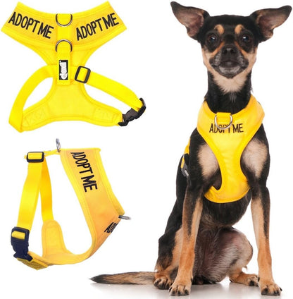 Limited Adopt ME Yellow Color Coded Non-Pull Front and Back D Ring Padded and Waterproof Vest Dog Harness Donate to Your Local Charity (XS)