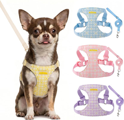 Small Dog Harness and Leash Set No-Pull Adjustable Vest, Yellow XS | Step-in Design, Breathable Soft Daisy Pattern Puppy Harness, Reflective, Leash Included, for Small-Medium Dogs