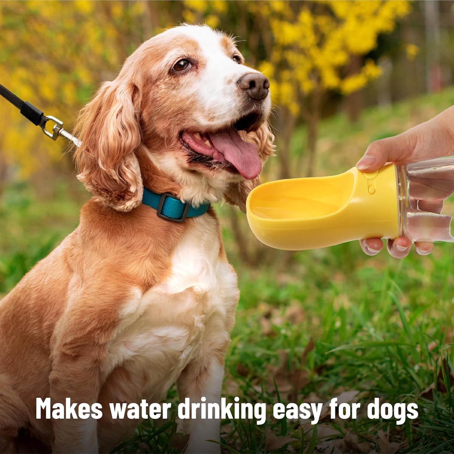 Portable Dog Water Bottle, 19 oz, Large | Leak Proof Puppy Water Dispenser with Drinking Feeder for Pets, Outdoor Walking, Hiking, Travel, Not Dishwasher Safe