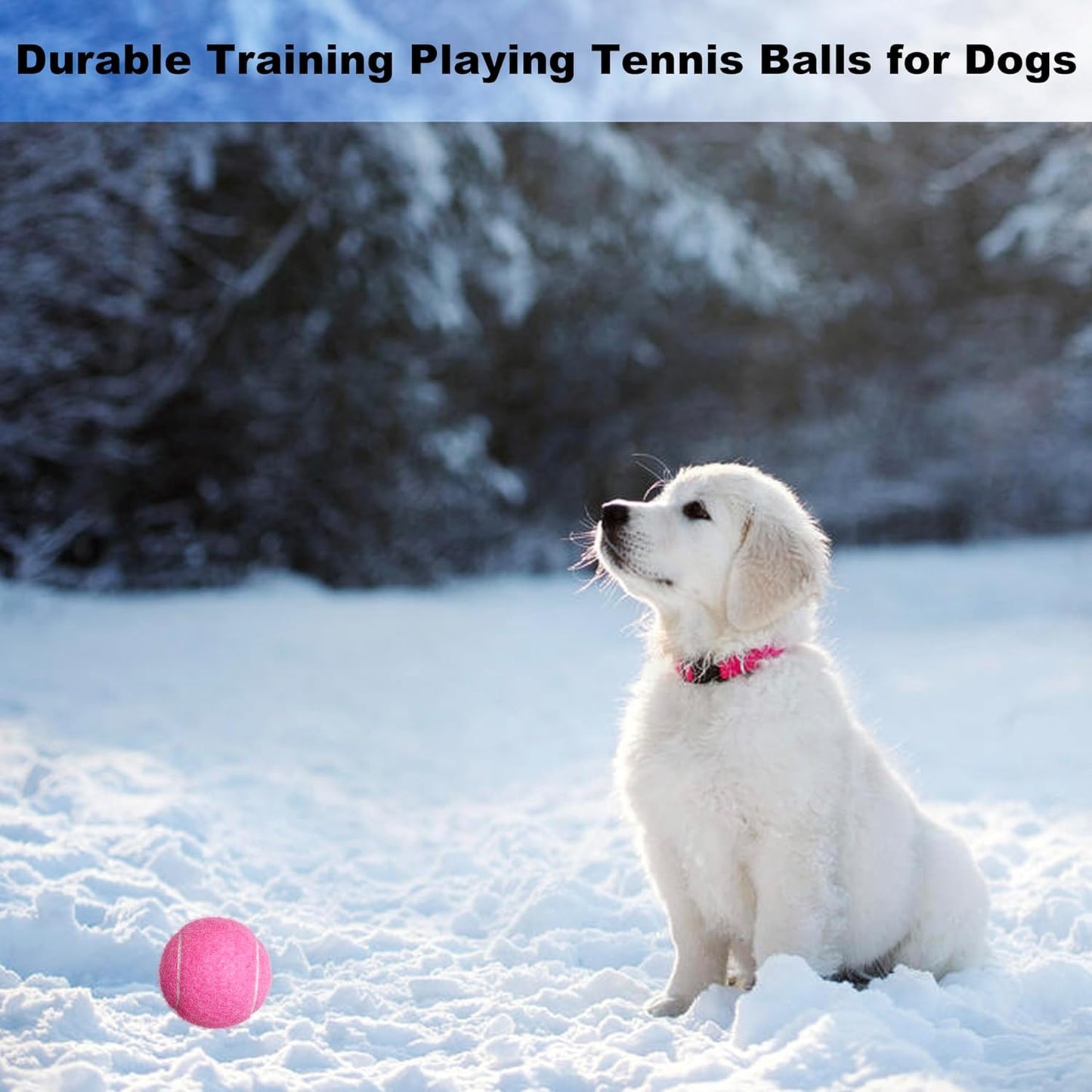 Tennis Balls, 6 Pack Advanced Training & Practice Tennis Balls for Beginners, High Visibility Pet Dog Playing Balls
