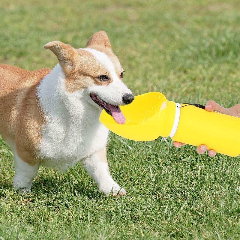 Collapsible Dog Water Bottle, 19oz Portable Pet Travel Water Cup with Built‑in Bowl, Leak Proof Food Grade Silicone, One Hand Operated Outdoor Dispenser for Walking Hiking Camping (Vibrant Yellow)