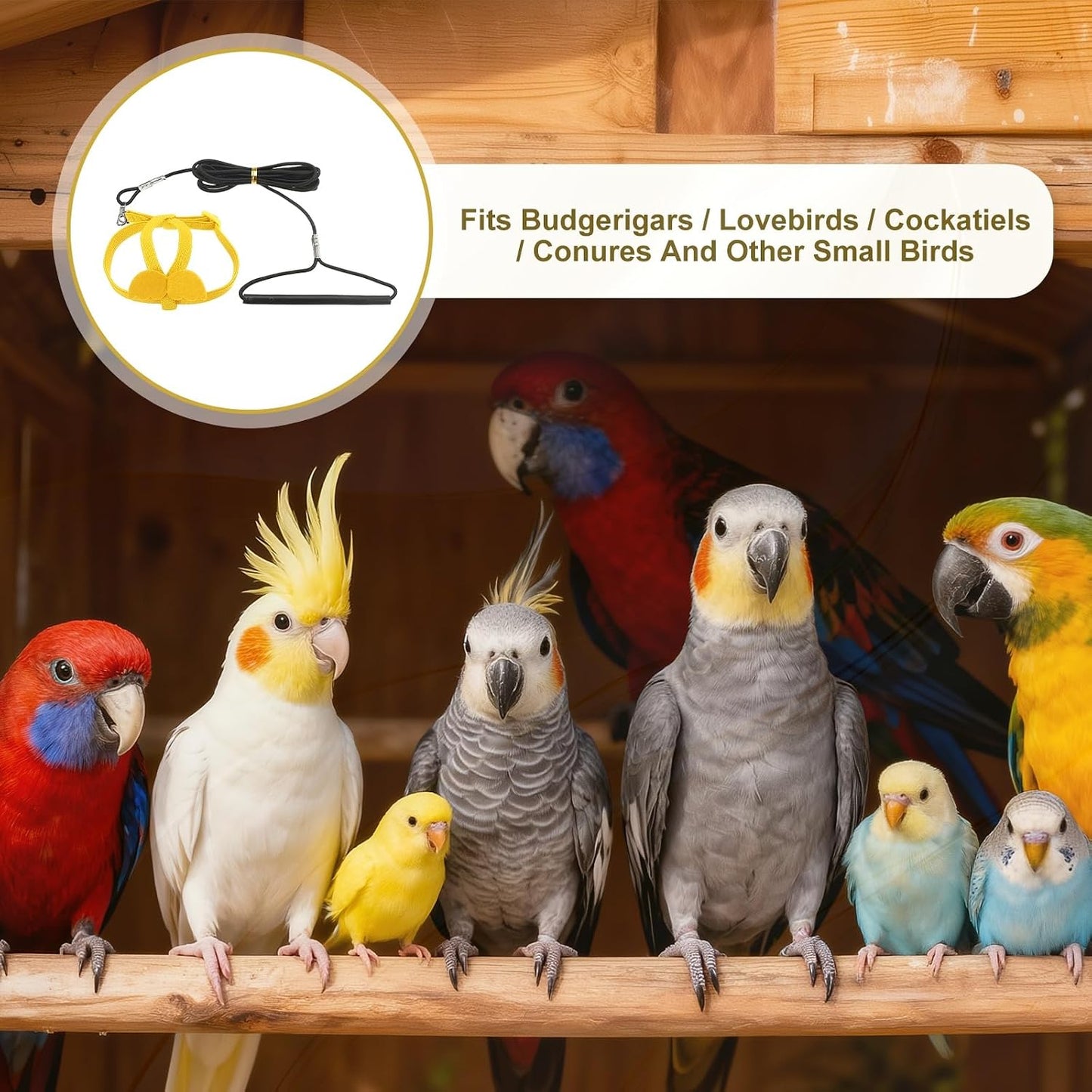 Bird Harness Leash, Adjustable Pet Parrot Bird Harness and Leash Lightweight Anti-Bite Flight Training Rope with Cute Wing, (Yellow, XS), Intended for Parrots/Pigeons/Budgies