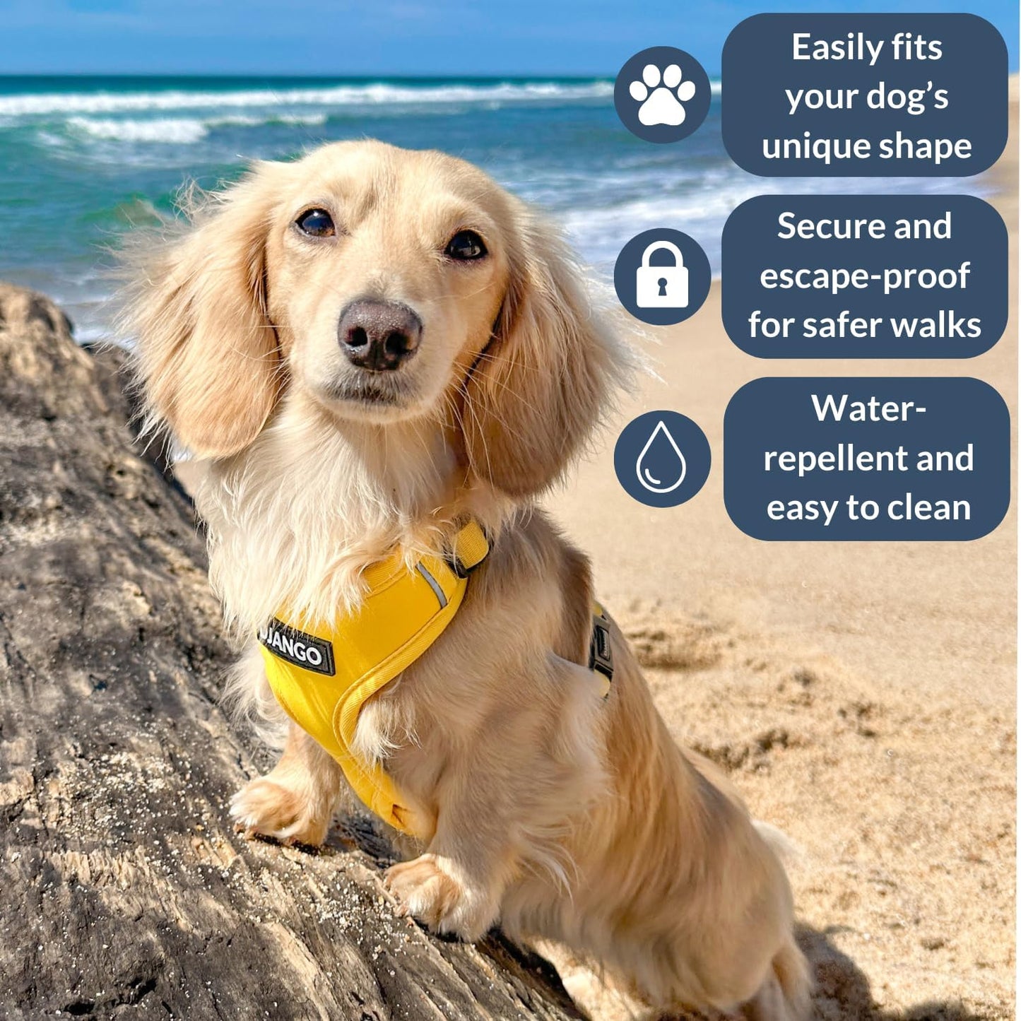 Adventure Dog Harness - Stylish Medium Dog Harness for Outdoor Adventures and Everyday Wear - Dandelion Yellow Neoprene Adjustable Harness for Dogs with Reflective Piping and Solid Brass D-ring