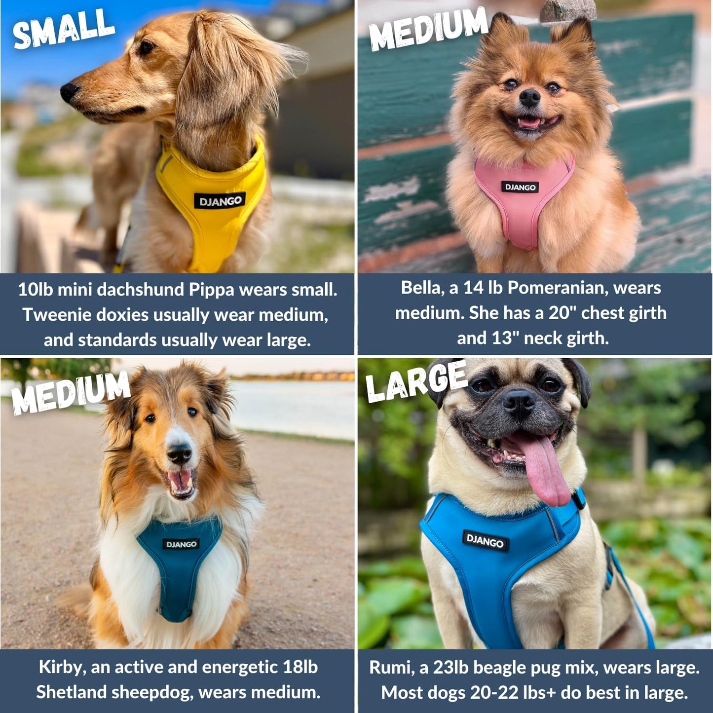 Adventure Dog Harness - Stylish Medium Dog Harness for Outdoor Adventures and Everyday Wear - Dandelion Yellow Neoprene Adjustable Harness for Dogs with Reflective Piping and Solid Brass D-ring