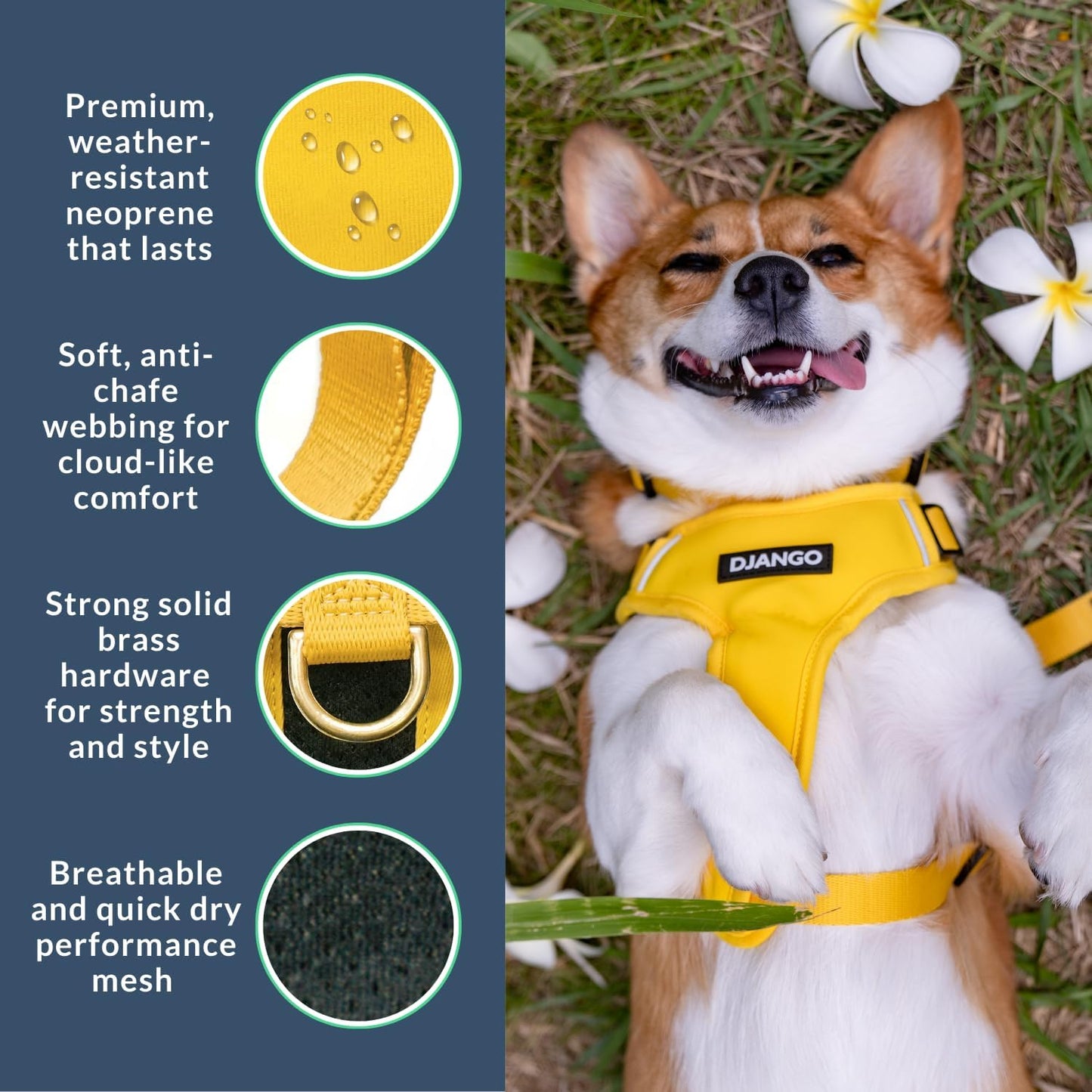 Adventure Dog Harness - Stylish Medium Dog Harness for Outdoor Adventures and Everyday Wear - Dandelion Yellow Neoprene Adjustable Harness for Dogs with Reflective Piping and Solid Brass D-ring