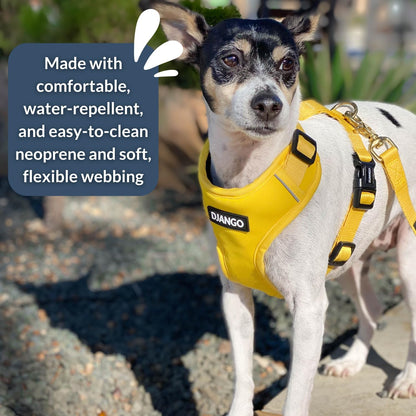 Adventure Dog Harness - Stylish Medium Dog Harness for Outdoor Adventures and Everyday Wear - Dandelion Yellow Neoprene Adjustable Harness for Dogs with Reflective Piping and Solid Brass D-ring