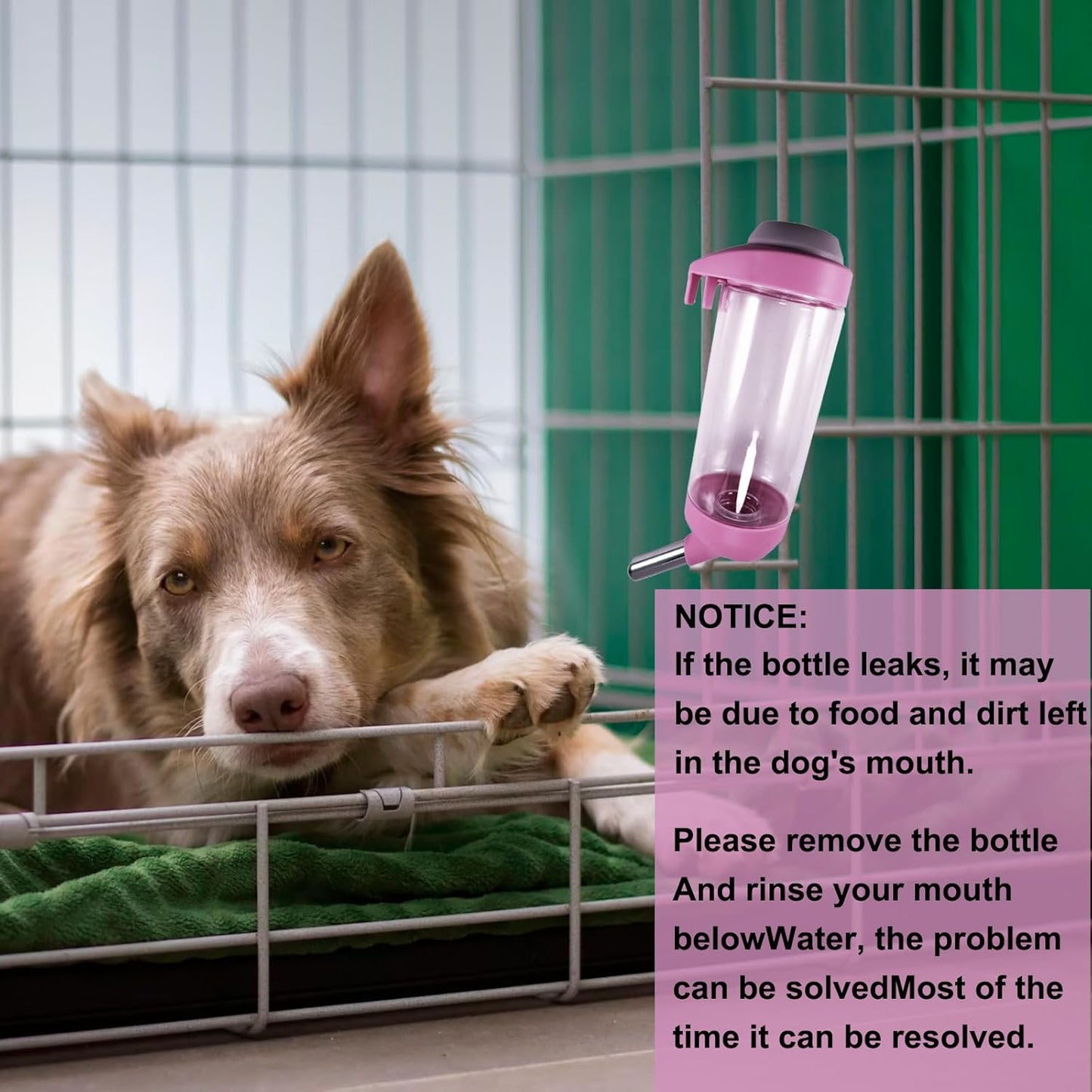 Dog Crate Water Bottle - 12 oz No Drip Kennel Pet Water Dispenser, Easy-to-Use Cage Water Bottle for Dogs, Cats, Small Animals, 350ML, Pink