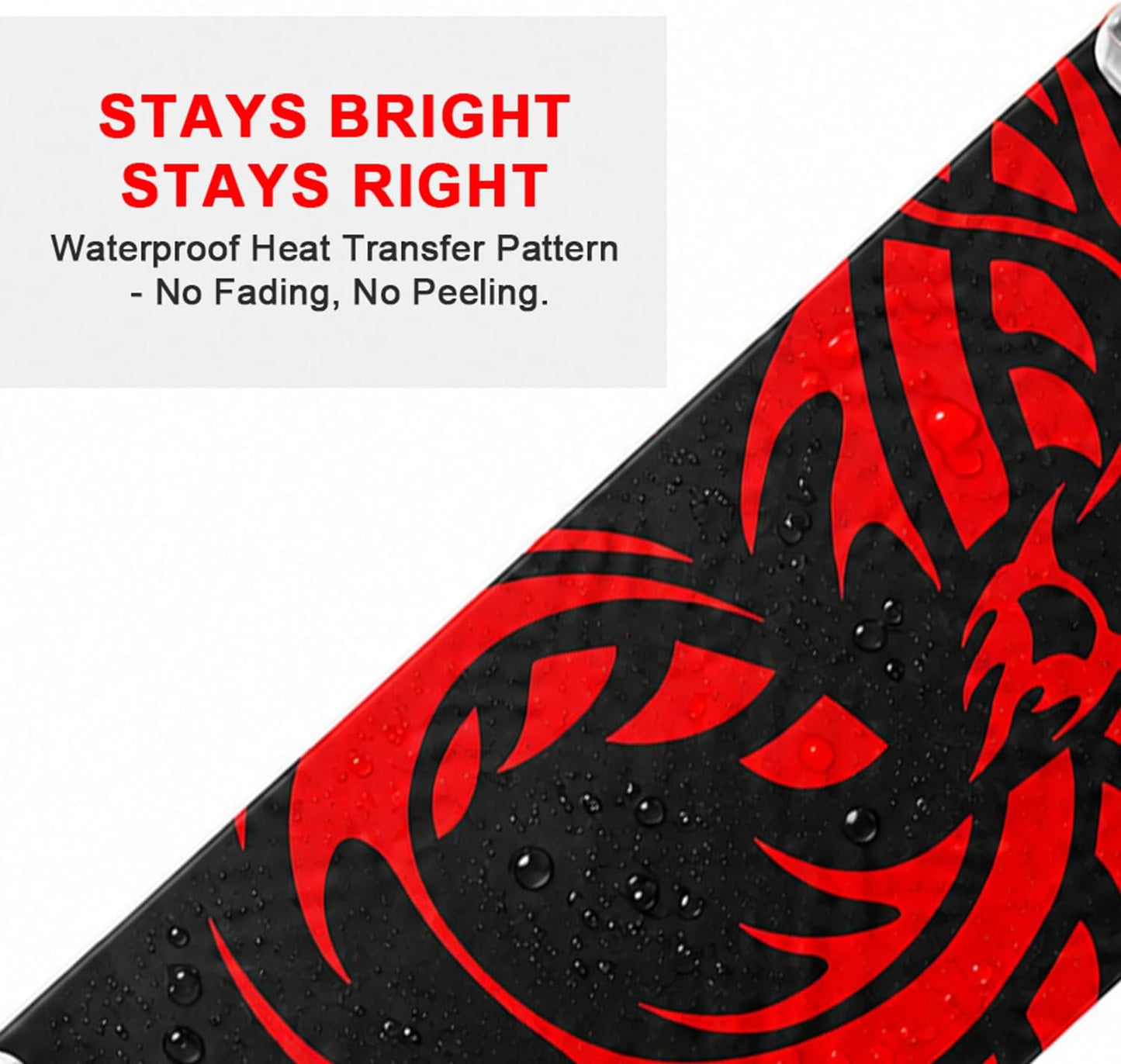 31 inch Skateboard Double Kick Skate Board Cruiser Longboard 8 Layer Maple Deck Skateboards for Kids and Beginners