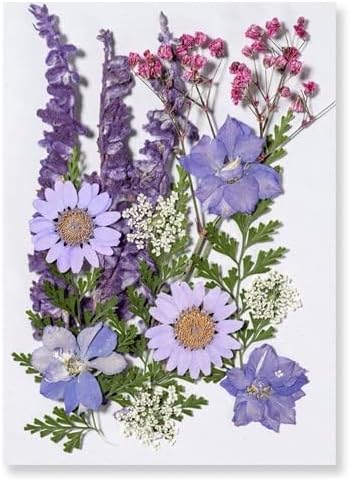 16 Pcs Dried Pressed Flowers, Real Natural Dry Flowers Leaves Set for Resin Mold, Scrapbooking DIY Art Crafts (Purple Dream)