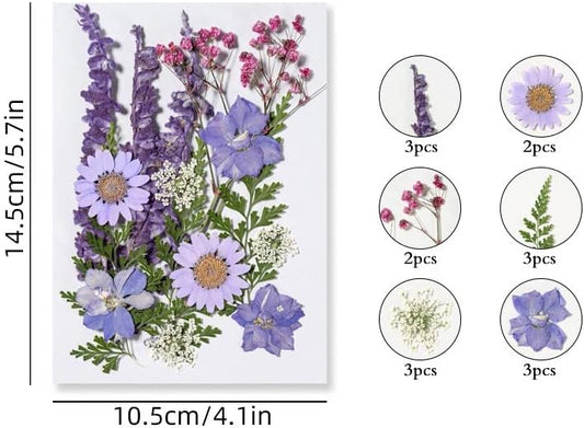 16 Pcs Dried Pressed Flowers, Real Natural Dry Flowers Leaves Set for Resin Mold, Scrapbooking DIY Art Crafts (Purple Dream)