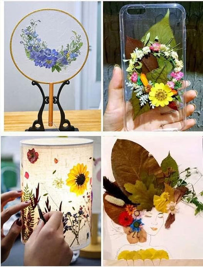 16 Pcs Dried Pressed Flowers, Real Natural Dry Flowers Leaves Set for Resin Mold, Scrapbooking DIY Art Crafts (Purple Dream)