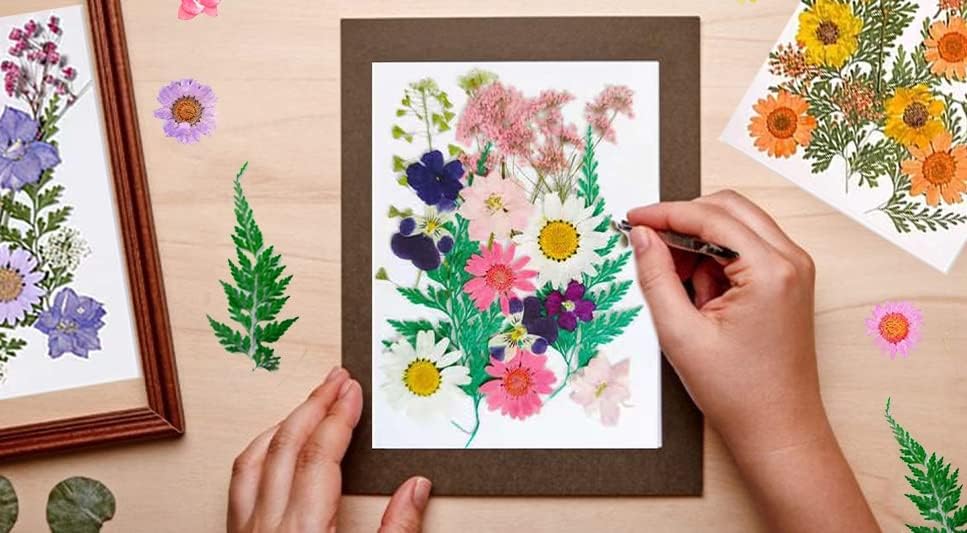 16 Pcs Dried Pressed Flowers, Real Natural Dry Flowers Leaves Set for Resin Mold, Scrapbooking DIY Art Crafts (Purple Dream)