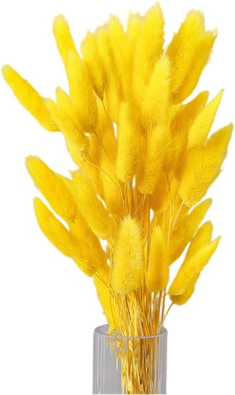 120 Pcs Dried Rabbit Tail Grass Dried Grasses Natural Dry Grass Dried Flowers Real Flower Eternal Flower for Home Decoration and Photo Props Wedding Decor (Yellow)
