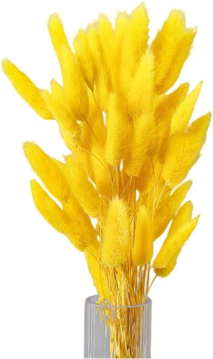 120 Pcs Dried Rabbit Tail Grass Dried Grasses Natural Dry Grass Dried Flowers Real Flower Eternal Flower for Home Decoration and Photo Props Wedding Decor (Yellow)