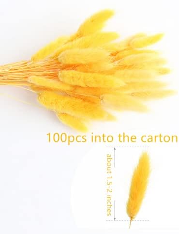 120 Pcs Dried Rabbit Tail Grass Dried Grasses Natural Dry Grass Dried Flowers Real Flower Eternal Flower for Home Decoration and Photo Props Wedding Decor (Yellow)